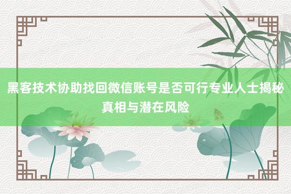 黑客技术协助找回微信账号是否可行专业人士揭秘真相与潜在风险